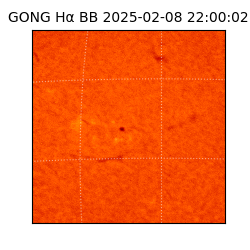 gong - 2025-02-08T22:00:02
