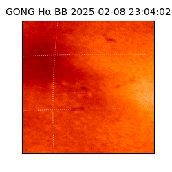 gong - 2025-02-08T23:04:02