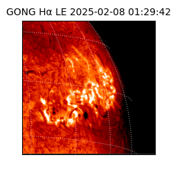 gong - 2025-02-08T01:29:42