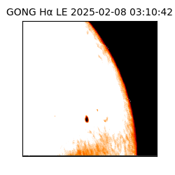 gong - 2025-02-08T03:10:42
