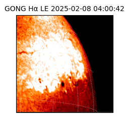 gong - 2025-02-08T04:00:42