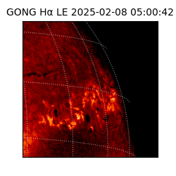 gong - 2025-02-08T05:00:42