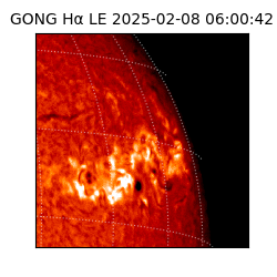 gong - 2025-02-08T06:00:42