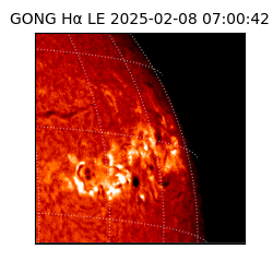 gong - 2025-02-08T07:00:42
