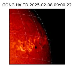 gong - 2025-02-08T09:00:22