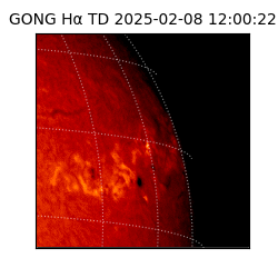 gong - 2025-02-08T12:00:22