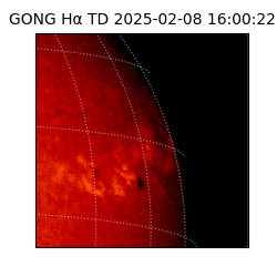 gong - 2025-02-08T16:00:22