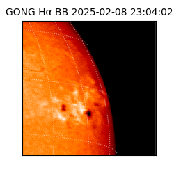 gong - 2025-02-08T23:04:02