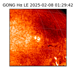 gong - 2025-02-08T01:29:42