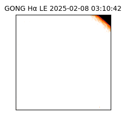 gong - 2025-02-08T03:10:42