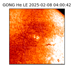 gong - 2025-02-08T04:00:42