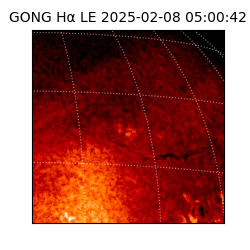 gong - 2025-02-08T05:00:42