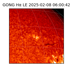 gong - 2025-02-08T06:00:42