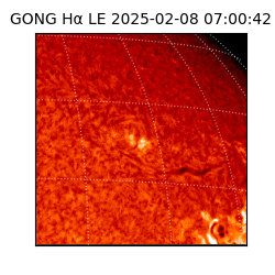 gong - 2025-02-08T07:00:42