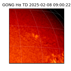 gong - 2025-02-08T09:00:22