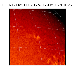 gong - 2025-02-08T12:00:22