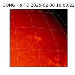 gong - 2025-02-08T16:00:22