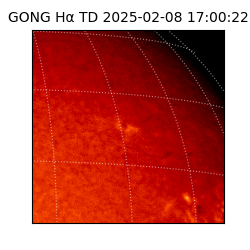 gong - 2025-02-08T17:00:22