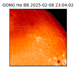 gong - 2025-02-08T23:04:02