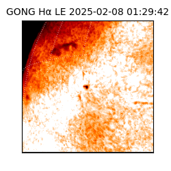 gong - 2025-02-08T01:29:42