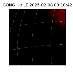 gong - 2025-02-08T03:10:42