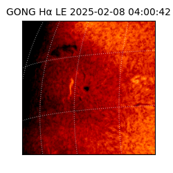 gong - 2025-02-08T04:00:42