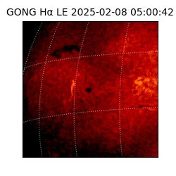 gong - 2025-02-08T05:00:42