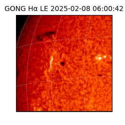 gong - 2025-02-08T06:00:42