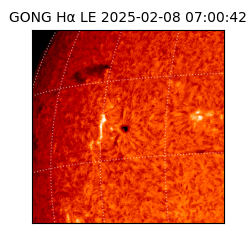 gong - 2025-02-08T07:00:42