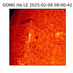 gong - 2025-02-08T08:00:42