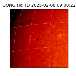 gong - 2025-02-08T09:00:22