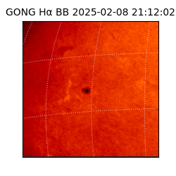 gong - 2025-02-08T21:12:02