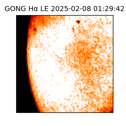 gong - 2025-02-08T01:29:42