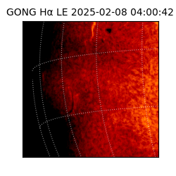 gong - 2025-02-08T04:00:42