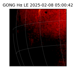 gong - 2025-02-08T05:00:42