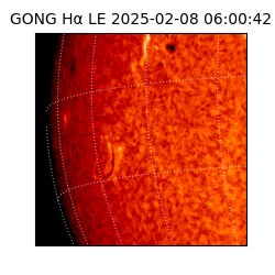 gong - 2025-02-08T06:00:42