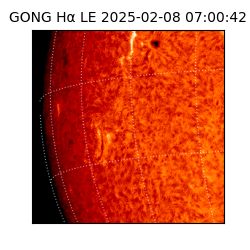 gong - 2025-02-08T07:00:42