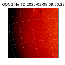 gong - 2025-02-08T09:00:22