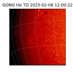 gong - 2025-02-08T12:00:22