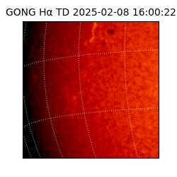 gong - 2025-02-08T16:00:22