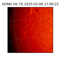 gong - 2025-02-08T17:00:22