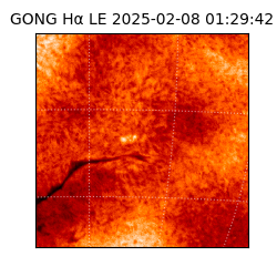gong - 2025-02-08T01:29:42