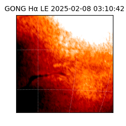 gong - 2025-02-08T03:10:42