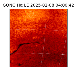 gong - 2025-02-08T04:00:42