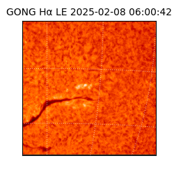 gong - 2025-02-08T06:00:42