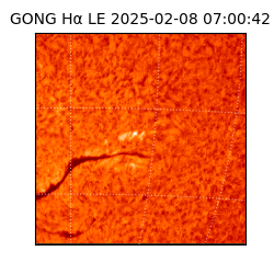 gong - 2025-02-08T07:00:42