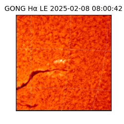 gong - 2025-02-08T08:00:42