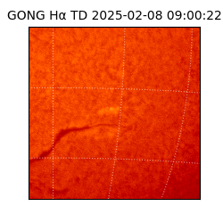 gong - 2025-02-08T09:00:22