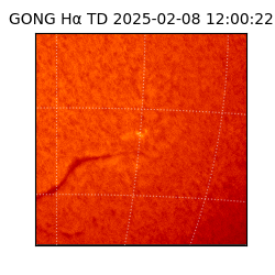 gong - 2025-02-08T12:00:22