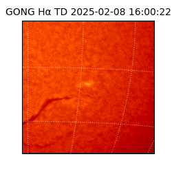 gong - 2025-02-08T16:00:22